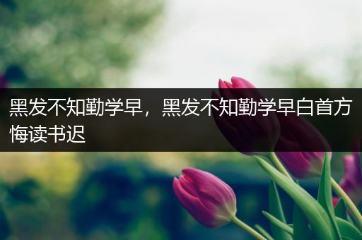 黑发不知勤学早，黑发不知勤学早白首方悔读书迟