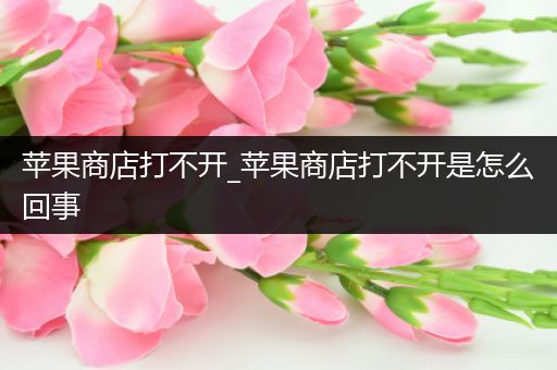 苹果商店打不开_苹果商店打不开是怎么回事
