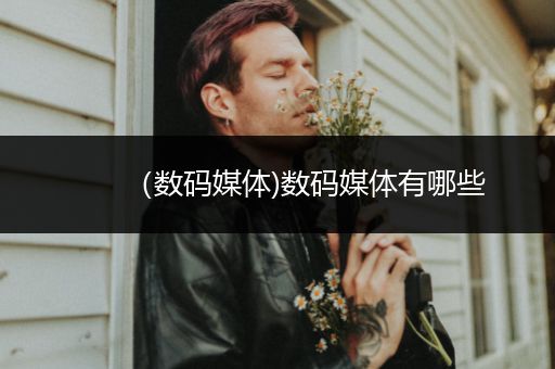 （数码媒体)数码媒体有哪些
