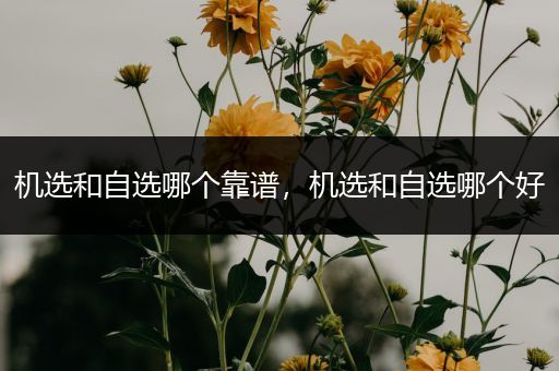 机选和自选哪个靠谱，机选和自选哪个好