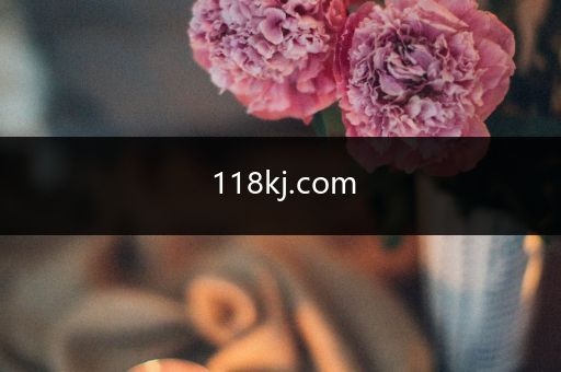 118kj.com