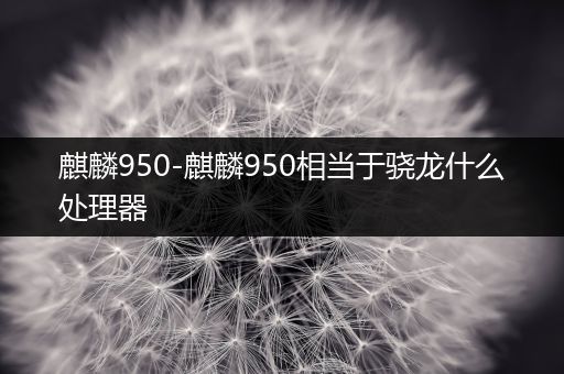 麒麟950-麒麟950相当于骁龙什么处理器
