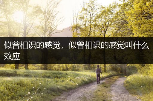 似曾相识的感觉，似曾相识的感觉叫什么效应