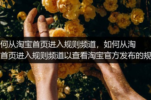 如何从淘宝首页进入规则频道，如何从淘宝首页进入规则频道以查看淘宝官方发布的规则