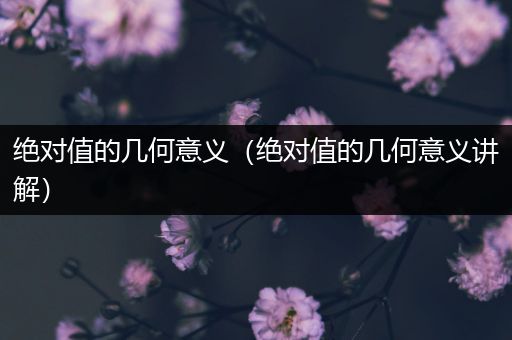绝对值的几何意义（绝对值的几何意义讲解）