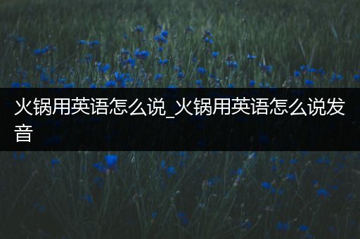 火锅用英语怎么说_火锅用英语怎么说发音