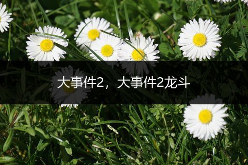 大事件2，大事件2龙斗