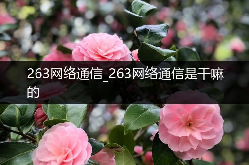 263网络通信_263网络通信是干嘛的
