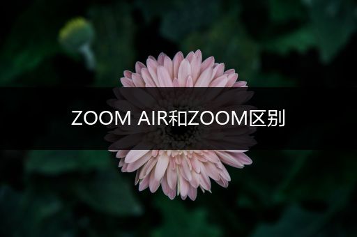ZOOM AIR和ZOOM区别