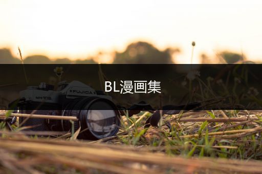 BL漫画集