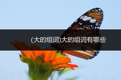 （大的组词)大的组词有哪些