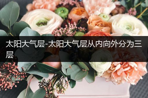 太阳大气层-太阳大气层从内向外分为三层