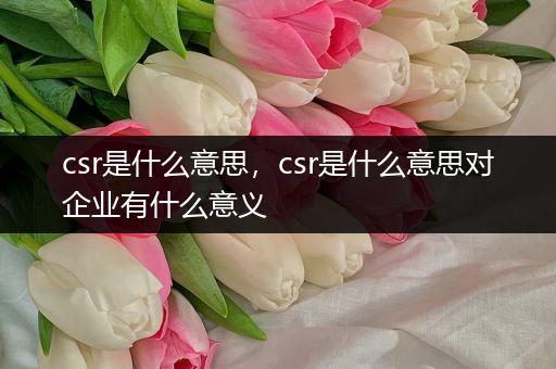 csr是什么意思，csr是什么意思对企业有什么意义