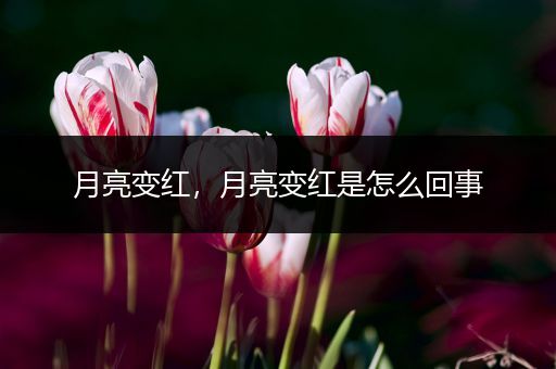 月亮变红，月亮变红是怎么回事