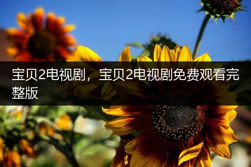 宝贝2电视剧，宝贝2电视剧免费观看完整版