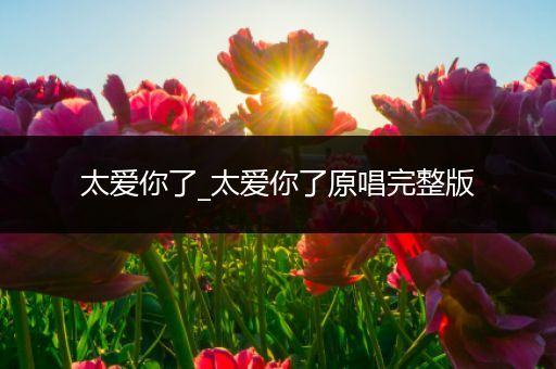 太爱你了_太爱你了原唱完整版