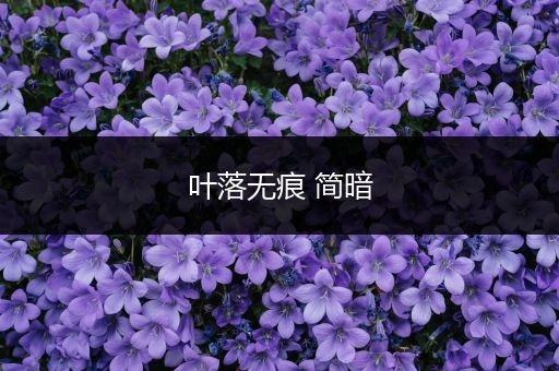 叶落无痕 简暗