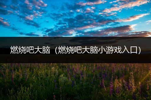 燃烧吧大脑（燃烧吧大脑小游戏入口）