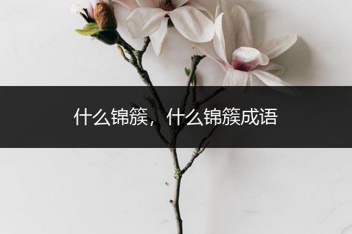 什么锦簇，什么锦簇成语