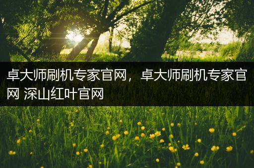 卓大师刷机专家官网，卓大师刷机专家官网 深山红叶官网