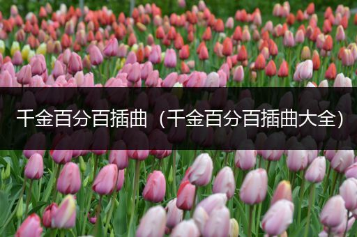 千金百分百插曲（千金百分百插曲大全）