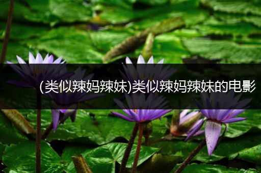 （类似辣妈辣妹)类似辣妈辣妹的电影