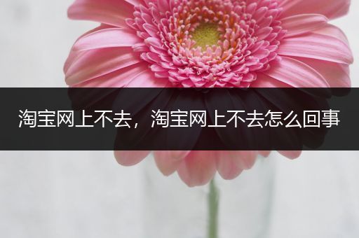 淘宝网上不去，淘宝网上不去怎么回事