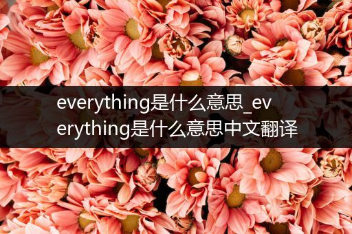 everything是什么意思_everything是什么意思中文翻译