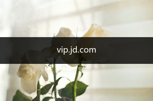 vip.jd.com
