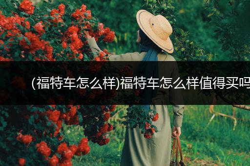 （福特车怎么样)福特车怎么样值得买吗