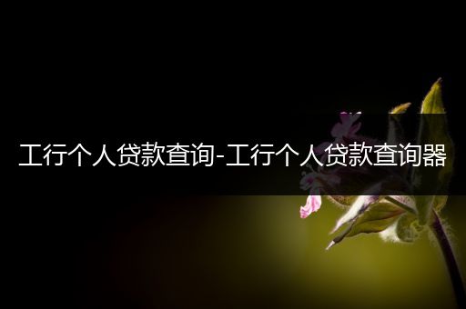 工行个人贷款查询-工行个人贷款查询器