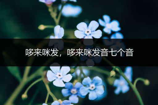 哆来咪发，哆来咪发音七个音