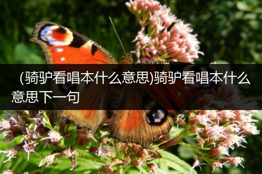 （骑驴看唱本什么意思)骑驴看唱本什么意思下一句