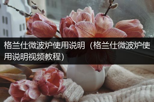格兰仕微波炉使用说明（格兰仕微波炉使用说明视频教程）