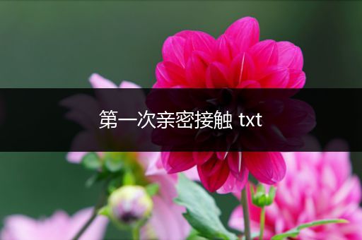 第一次亲密接触 txt
