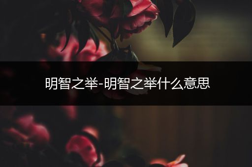 明智之举-明智之举什么意思