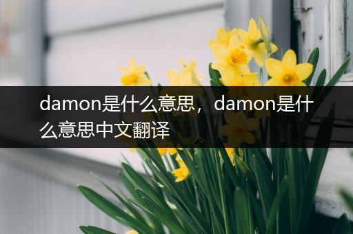 damon是什么意思,damon是什么意思中文翻译
