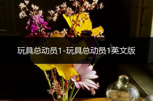玩具总动员1-玩具总动员1英文版