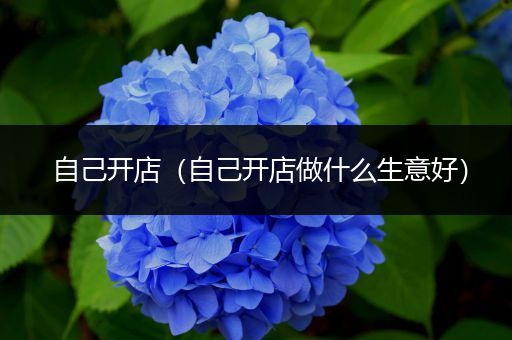 自己开店(自己开店做什么生意好)