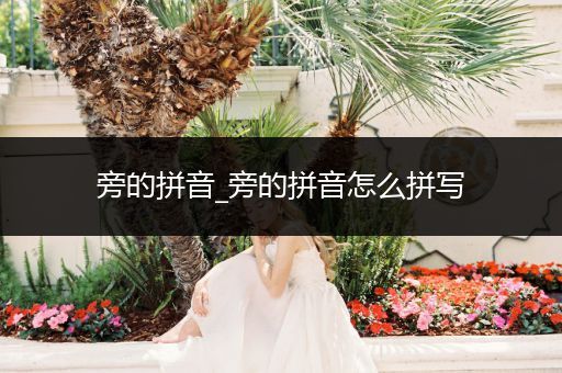 旁的拼音_旁的拼音怎么拼写