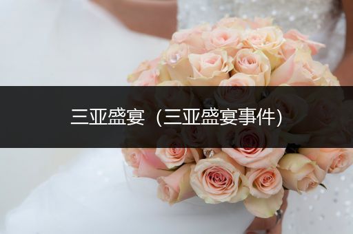 三亚盛宴(三亚盛宴事件)