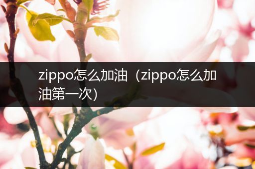 zippo怎么加油(zippo怎么加油第一次)