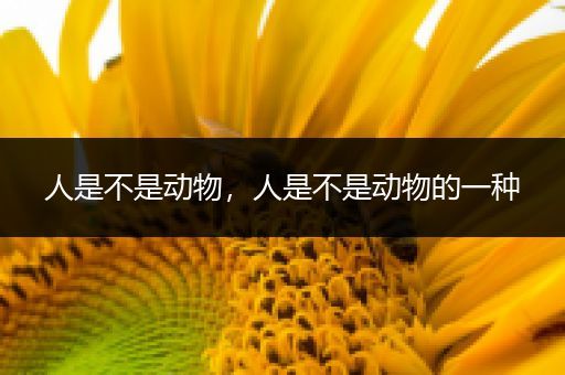 人是不是动物,人是不是动物的一种