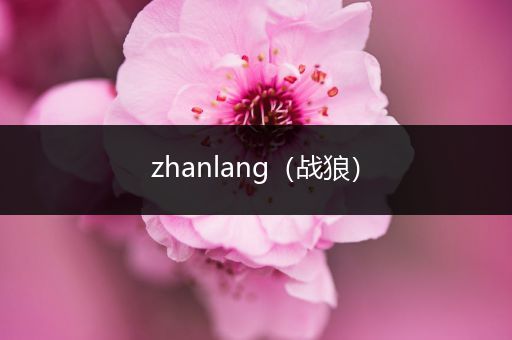 zhanlang(战狼)