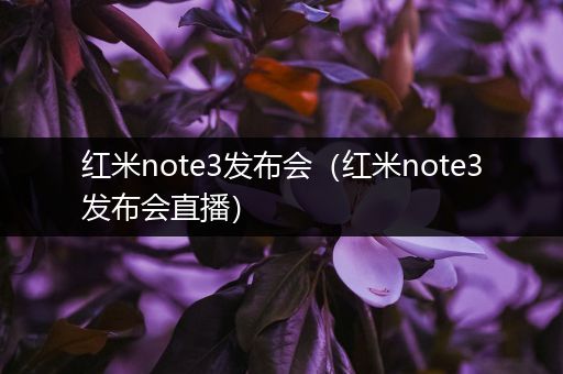 红米note3发布会（红米note3发布会直播）