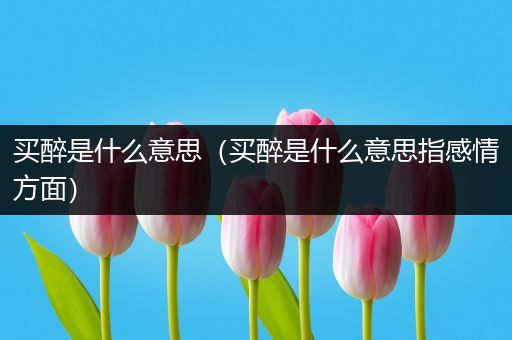 买醉是什么意思(买醉是什么意思指感情方面)