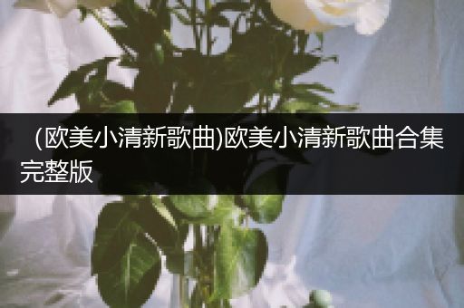 (欧美小清新歌曲)欧美小清新歌曲合集完整版