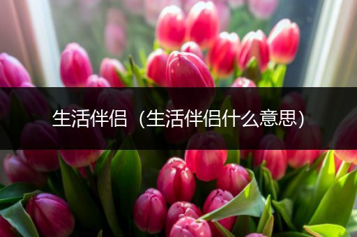 生活伴侣(生活伴侣什么意思)