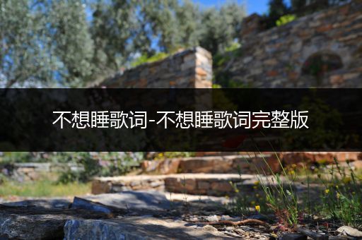 不想睡歌词-不想睡歌词完整版