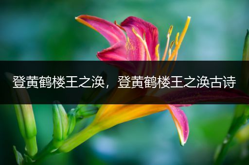 登黄鹤楼王之涣,登黄鹤楼王之涣古诗